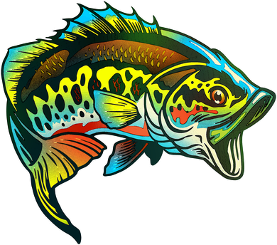 Rainbow Colorful Bass Mousepad
